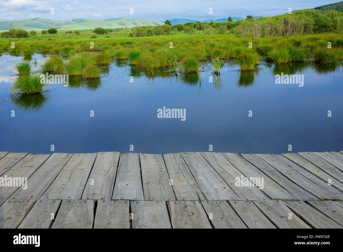 Wood Floor Perspective On The Lake And Forest Stock Photo