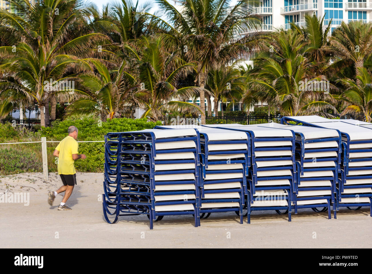 Miami Beach Florida,sand,public beach beaches,rental lounge chairs,stacked,man men male adult