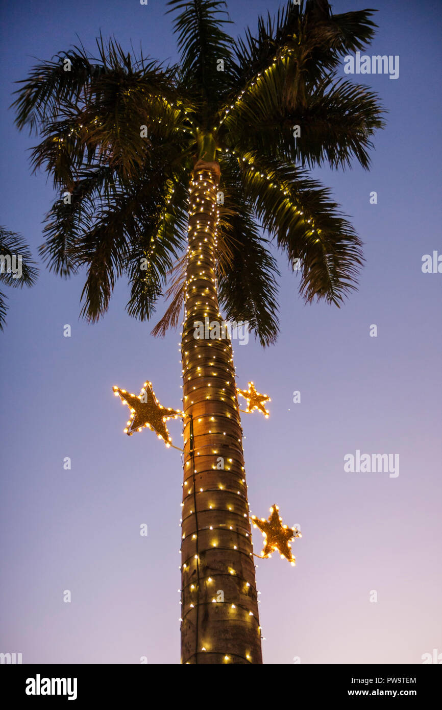 Miami Beach Florida,City Hall,building,palm trees,dusk,evening,Christmas lights,winter holiday,season,seasonal,decoration,star,frond,tropical,traditio Stock Photo