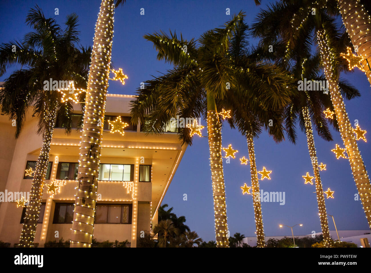Miami Beach Florida,City Hall,building,palm trees,dusk,evening,Christmas lights,winter holiday,season,seasonal,decoration,star,frond,tropical,traditio Stock Photo