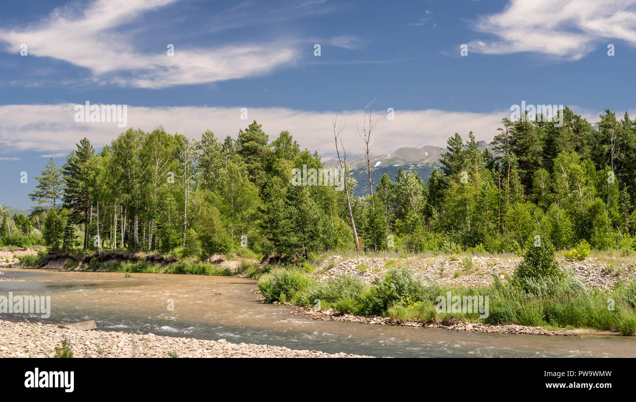 Mountain Landscape On A Sunny Summer Day.  Blue Sky, White Clouds, River Splashing, Flowing Over Rocks, Evergreens And Trees On The Banks.  Snowy Peak Stock Photo