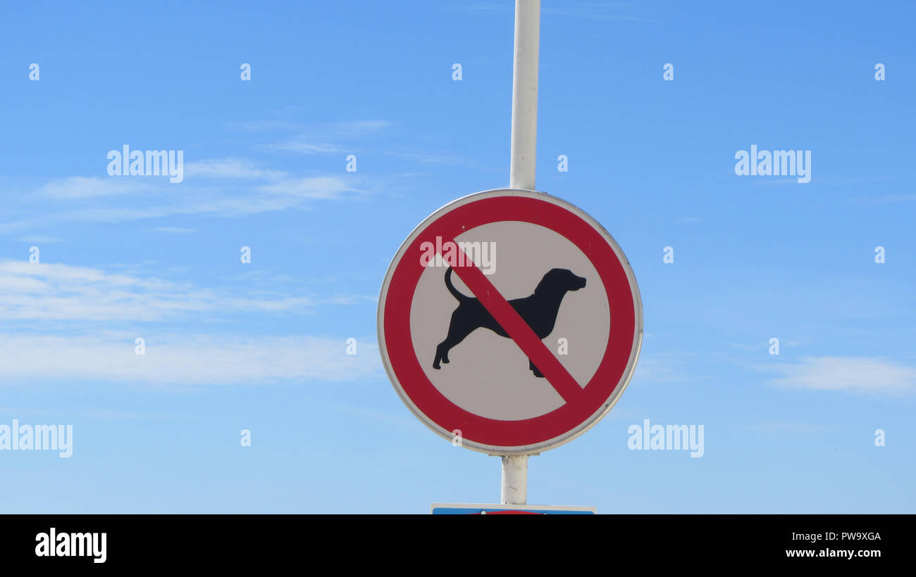 Dogs Not Allowed Forbidden Red Sign Beach Outdoors Stock Photo Alamy