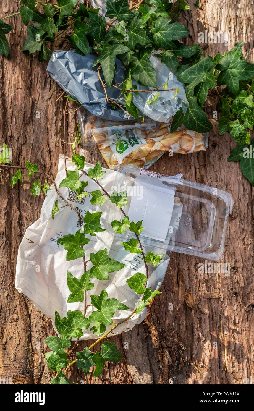 Plastic waste abandoned in the countryside. Environment pollution with rubbish overgrown by vegetation. Stock Photo