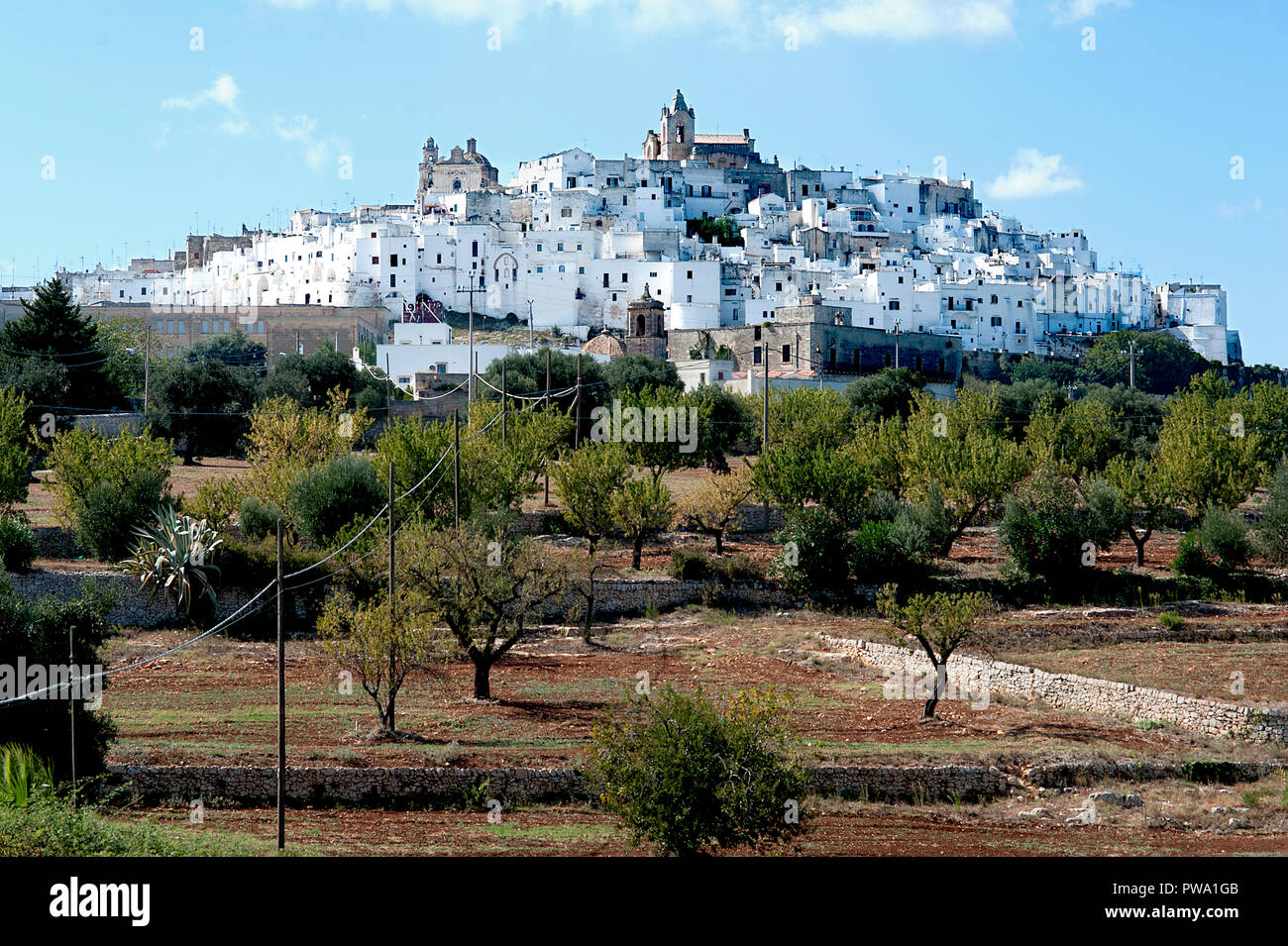 The picturesque old town and citadel of Ostuni, built on top of a hill and surrounded by olive groves; it is commonly referred to as 'the White City'. Stock Photo