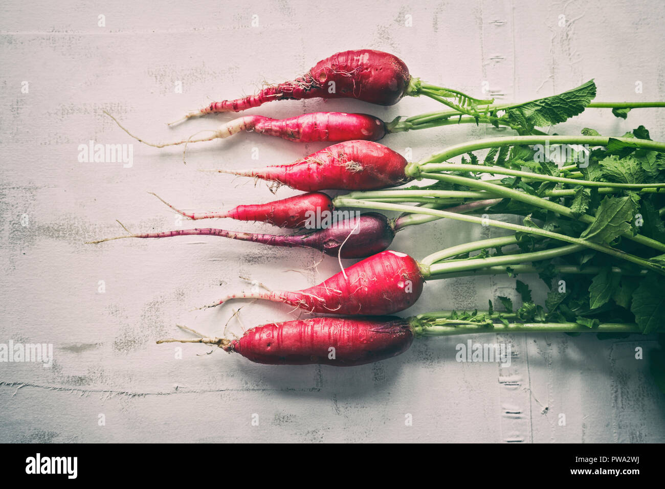Table Raddish Radish soil isolated hi-res stock photography and images - Alamy