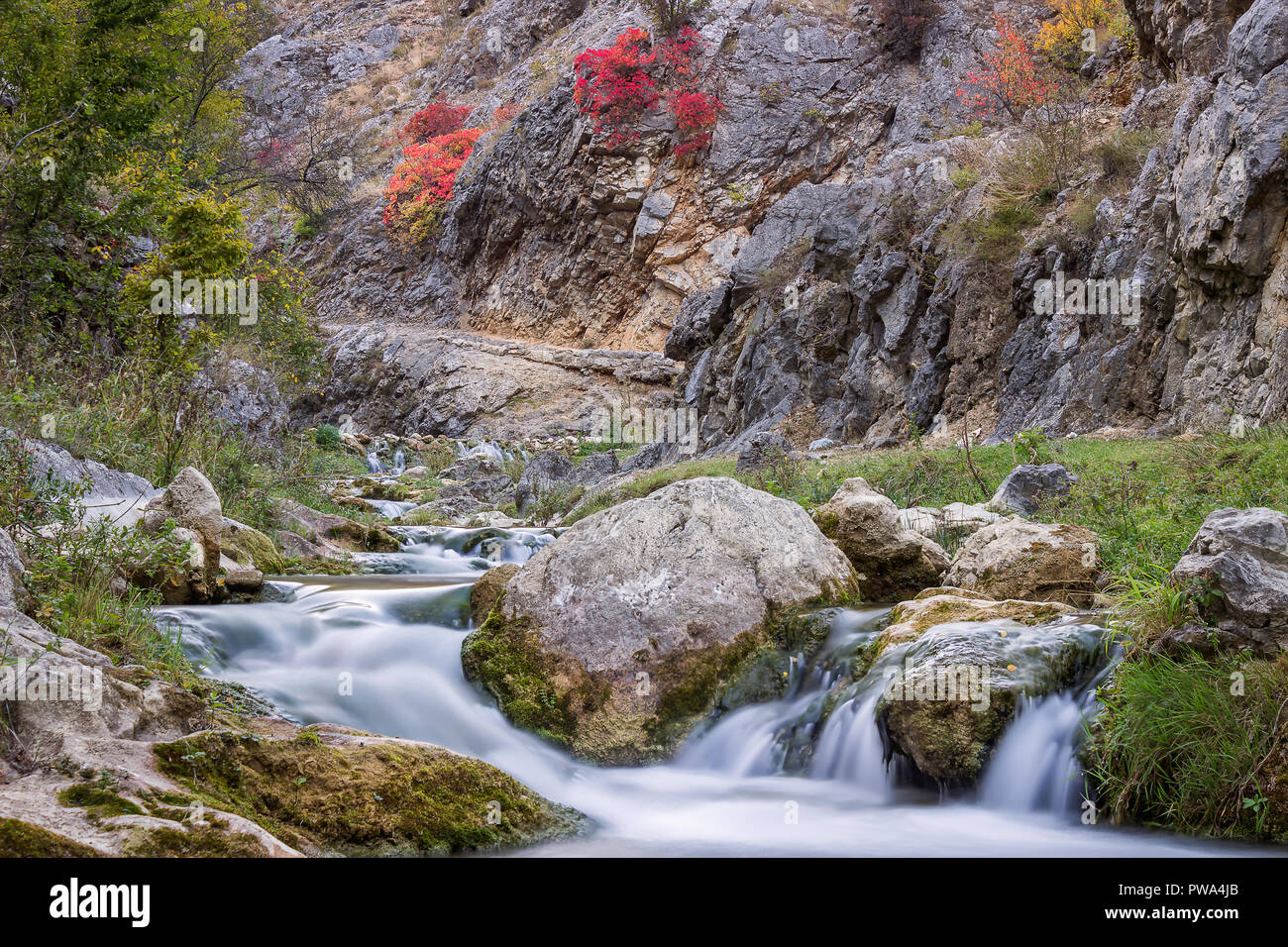Long exposure mountain creek in a canyon and autumn colors Stock Photo