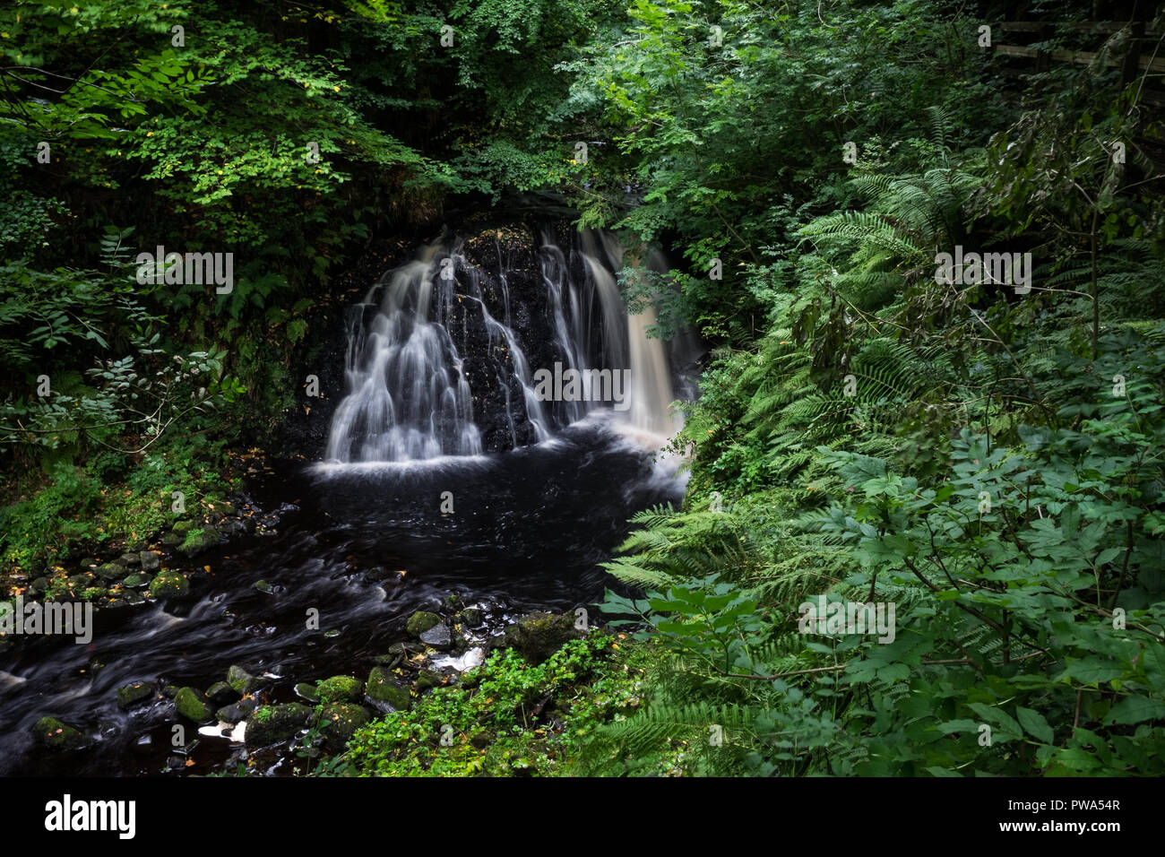 Waterfall Trail at Glenariff Forest Park near Causeway Coastal Route, Country of Antrim, Northern Ireland. Stock Photo