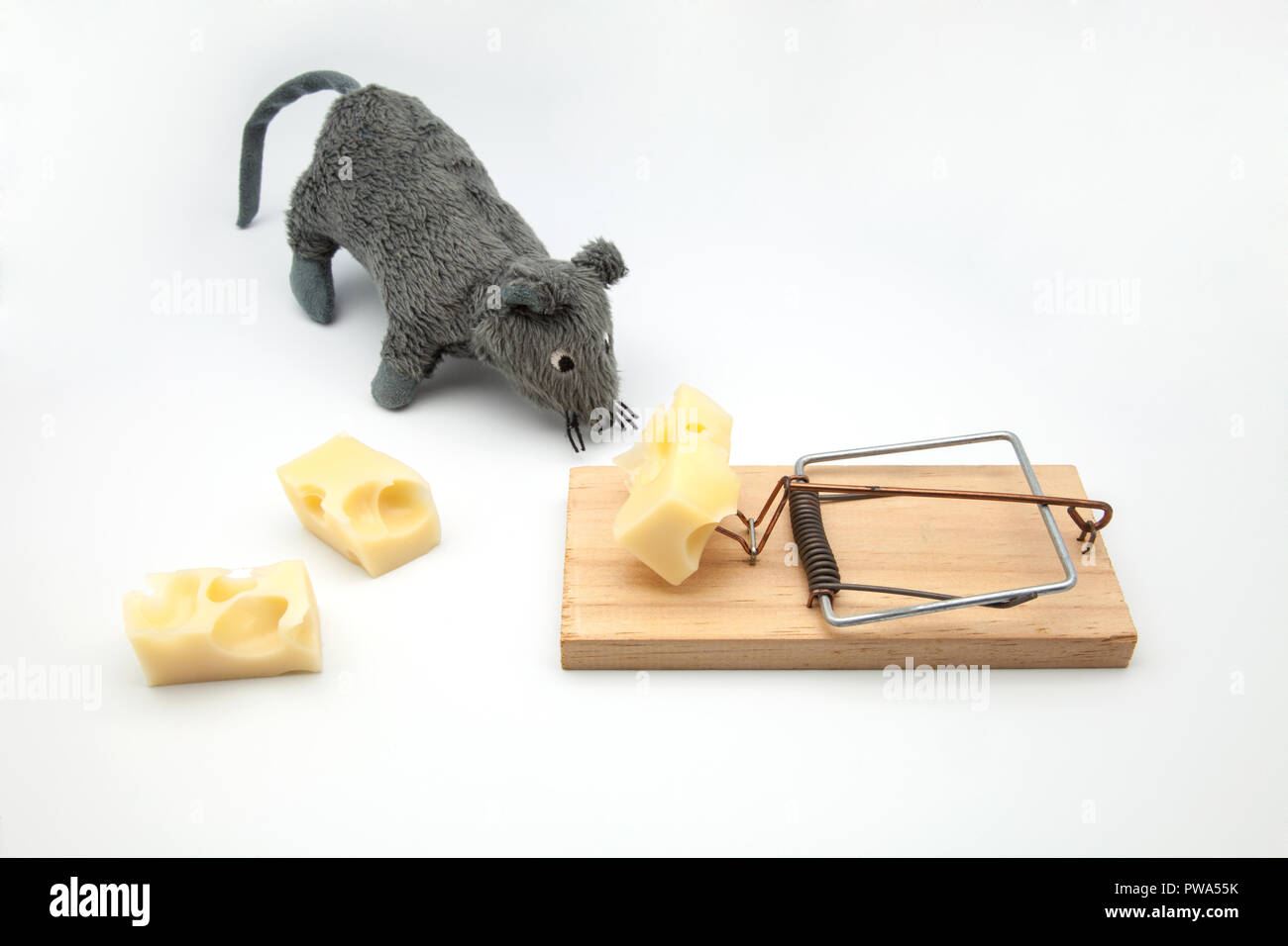 mouse of cloth and pitfall with cheese Stock Photo