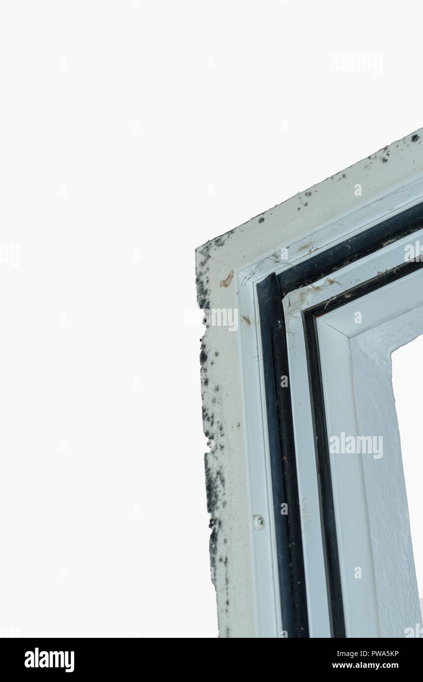 Mildew Mold Damage House Ceiling Stock Photo 222114810 Alamy