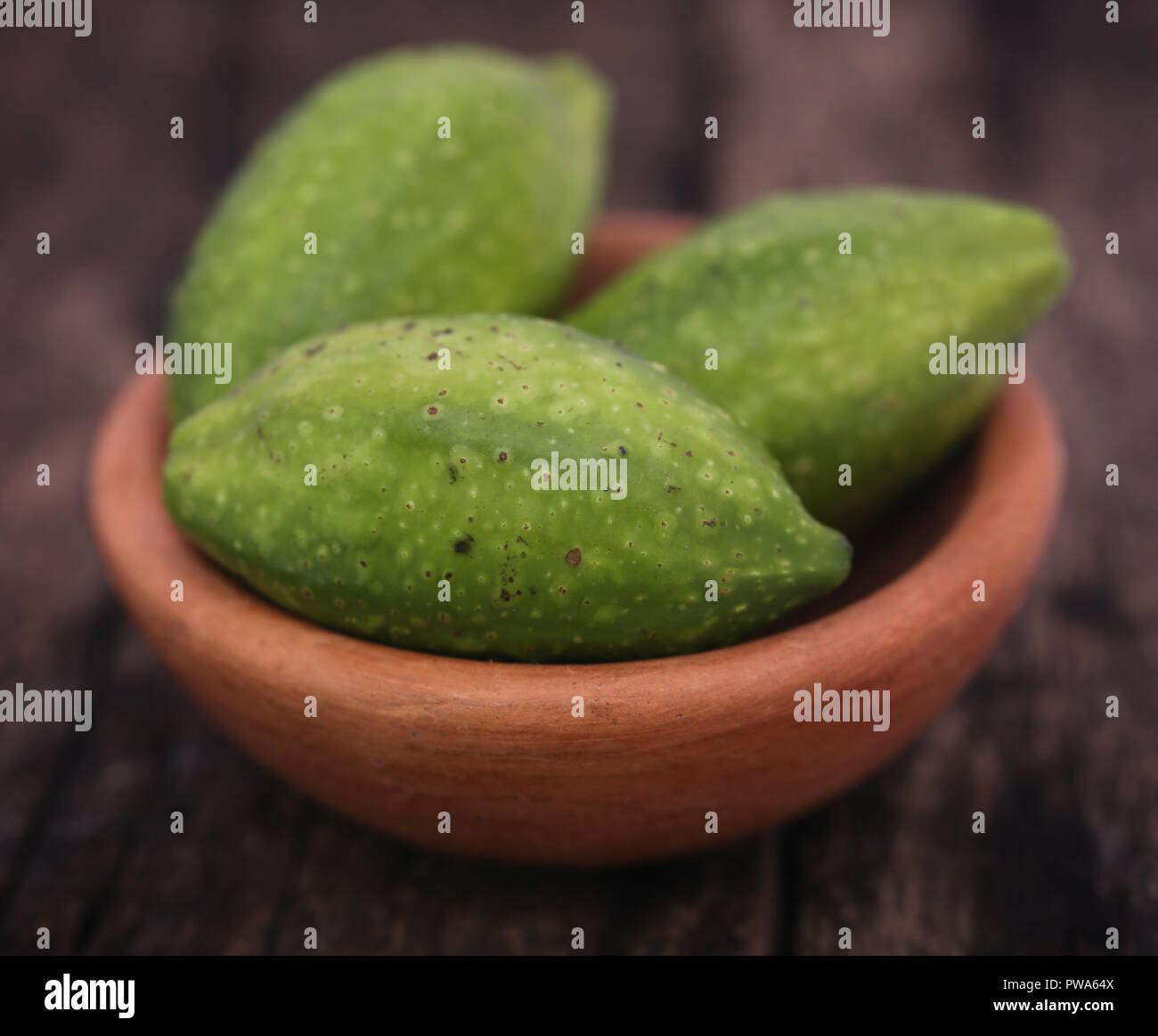 Green haritaki fruits used as herbal medicine in various parts of the world Stock Photo