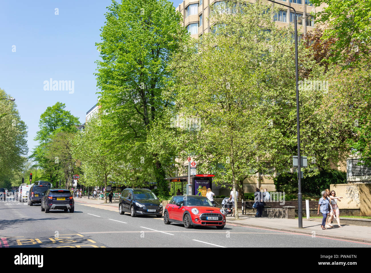 Wellington Road, St John's Wood, City of Westminster, Greater London, England, United Kingdom Stock Photo