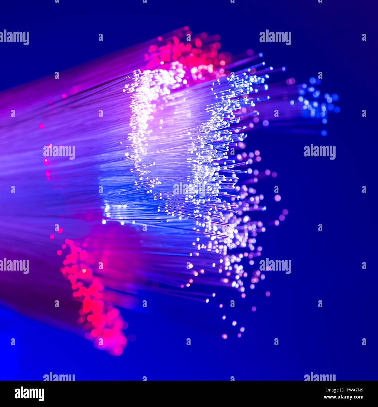 optical fibres dinamic flying from deep on technology background Stock Photo