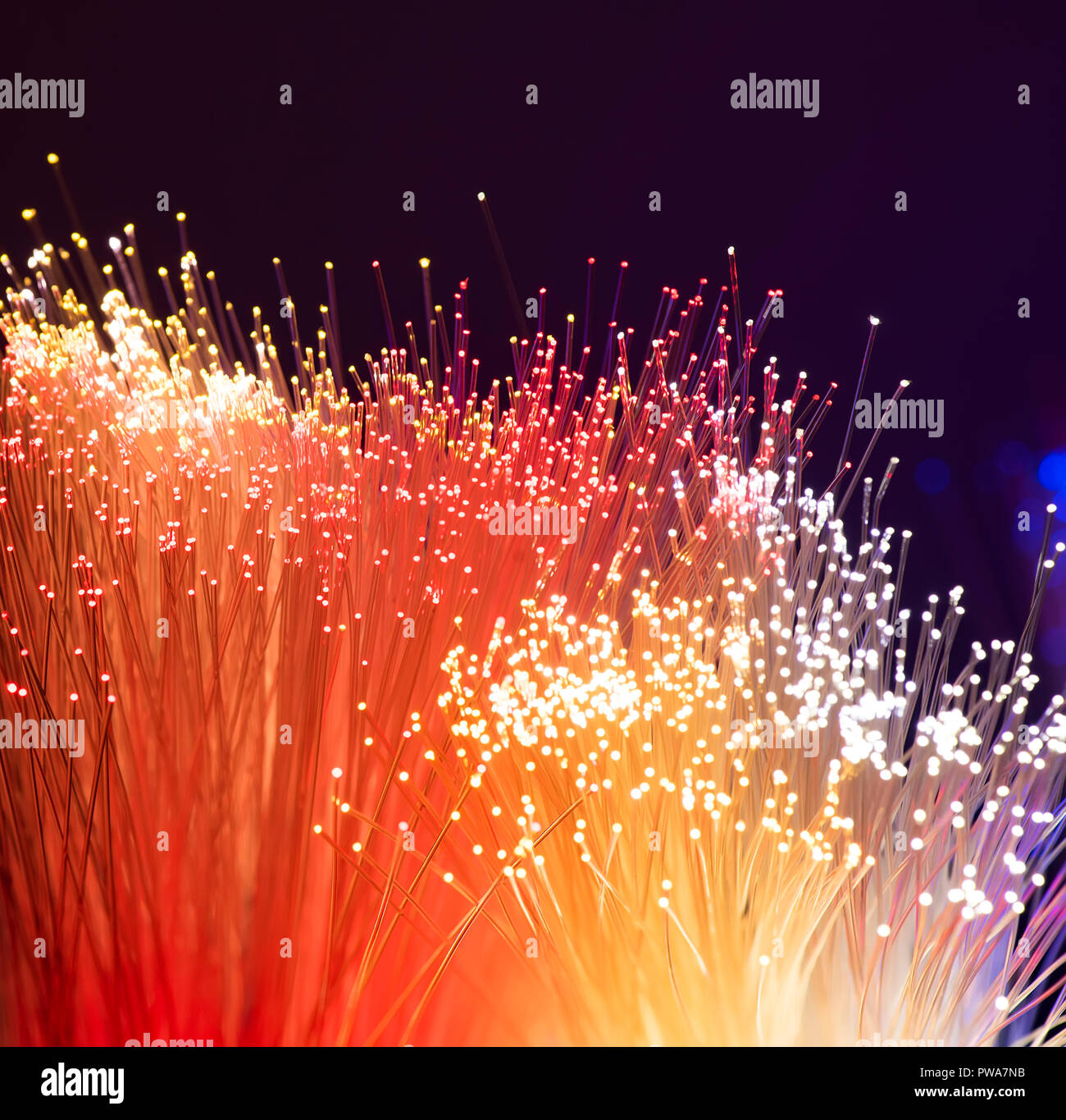 optical fibres dinamic flying from deep on technology background Stock Photo