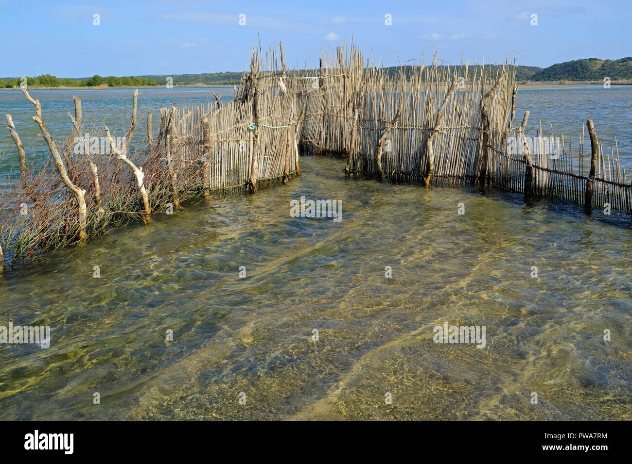 Traditional Tsonga fish trap built in the Kosi Bay estuary, Tongaland, South Africa Stock Photo
