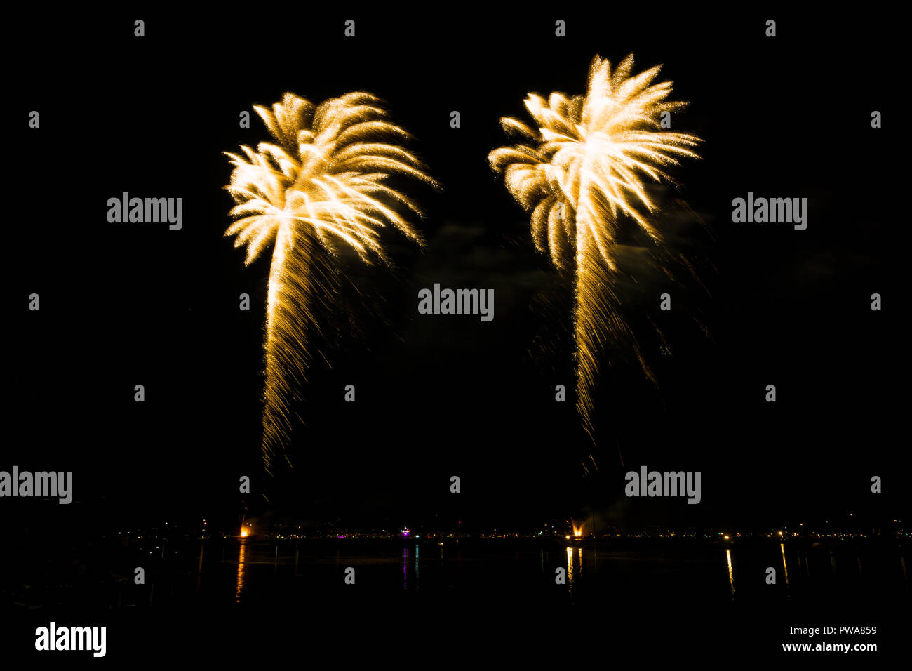 Huge palm tree firework of two explosions Stock Photo
