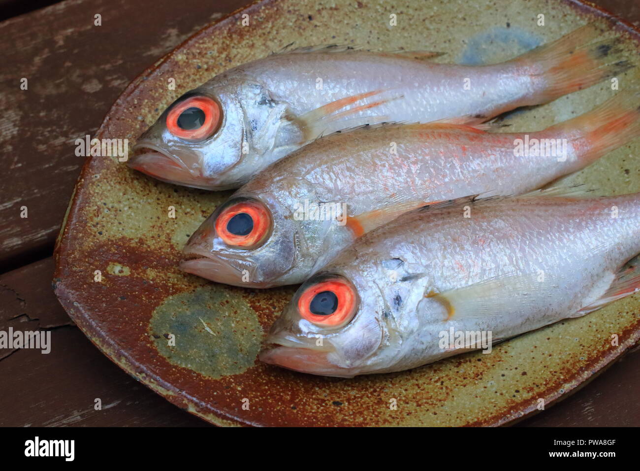 Rosy seabass (Doederleinia berycoides) in Japan Stock Photo Alamy