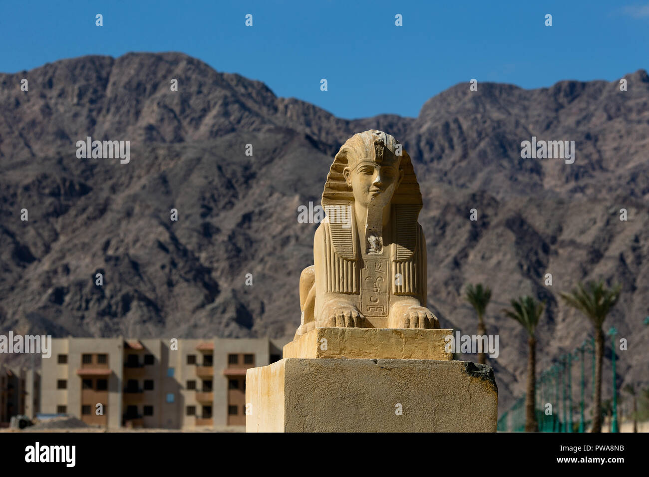 Sphynx Statue in Nuweiba City. South Sinai. Egypt Stock Photo