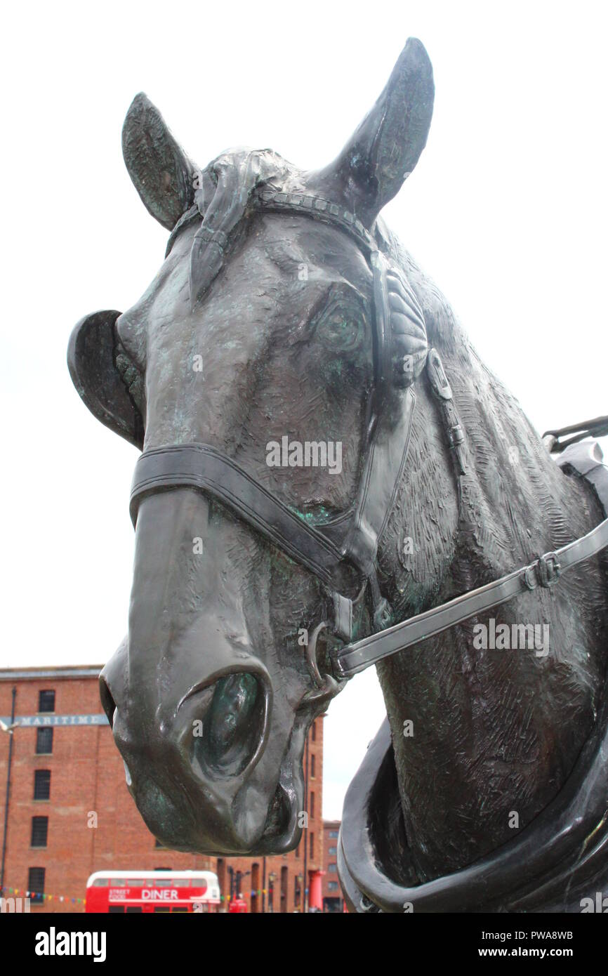 Liverpudlian hires stock photography and images Alamy