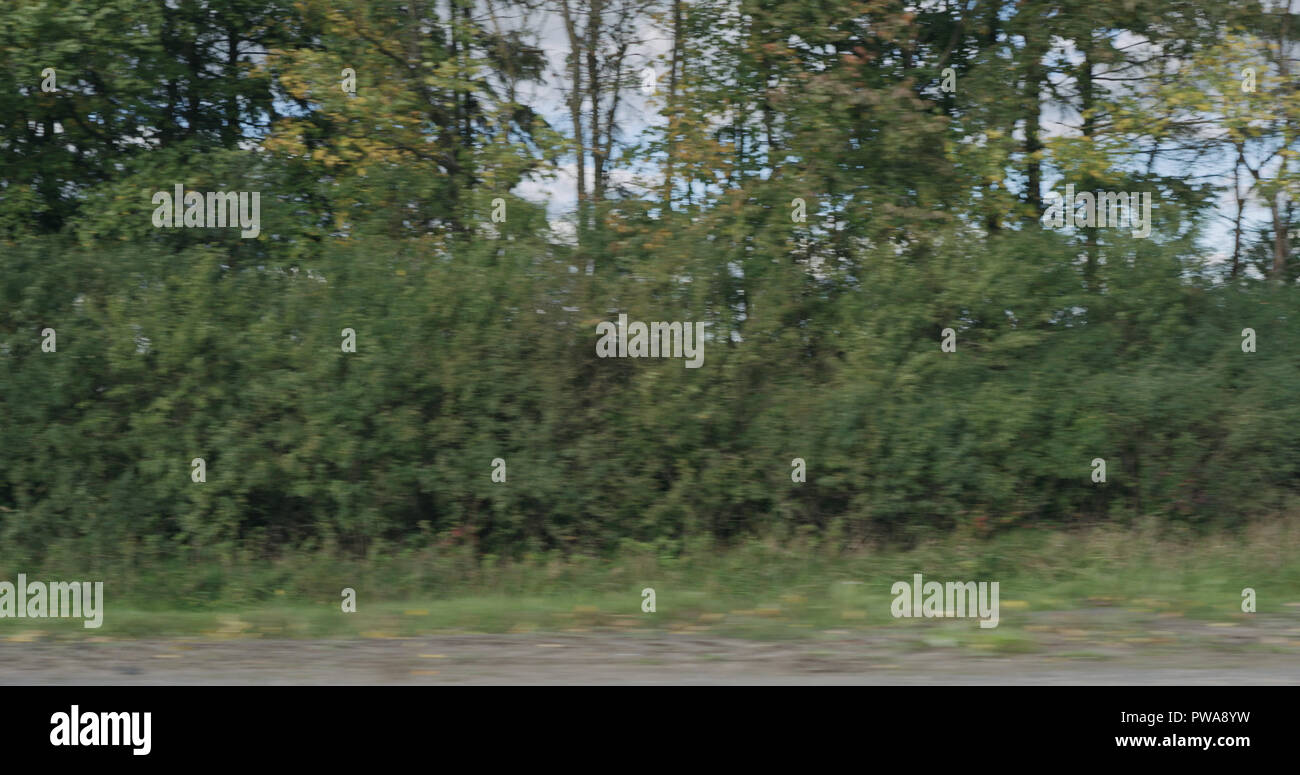 motion blur background side view of mixed rural landscape in early ...