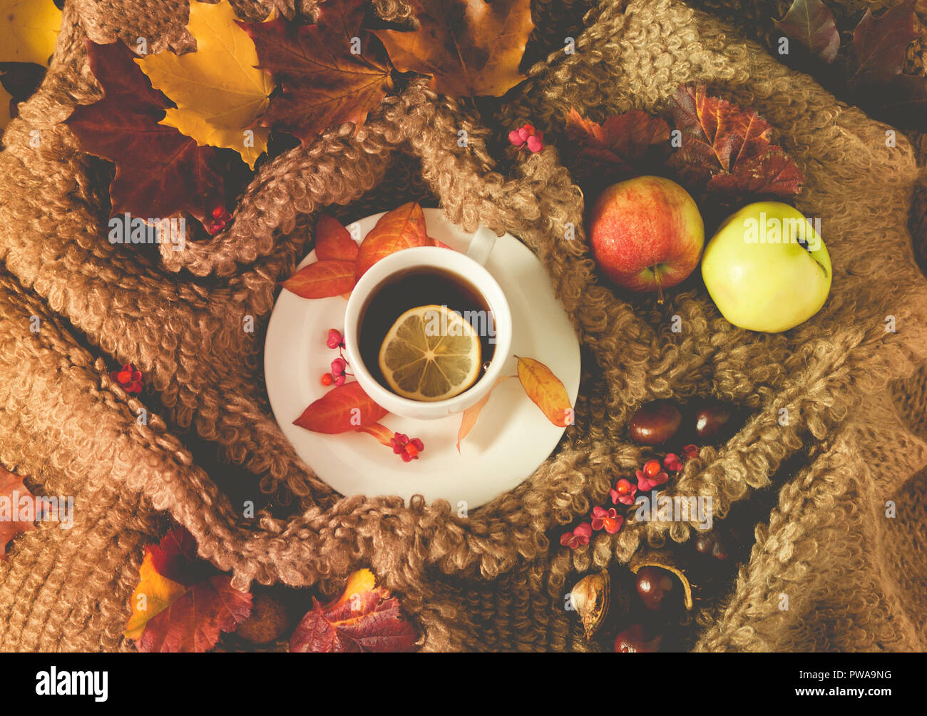 white cup with hot tea, steam, woolen material surrounds a saucer, colorful maple leaves on a cloth, two apples and chestnuts, an autumn look, Stock Photo