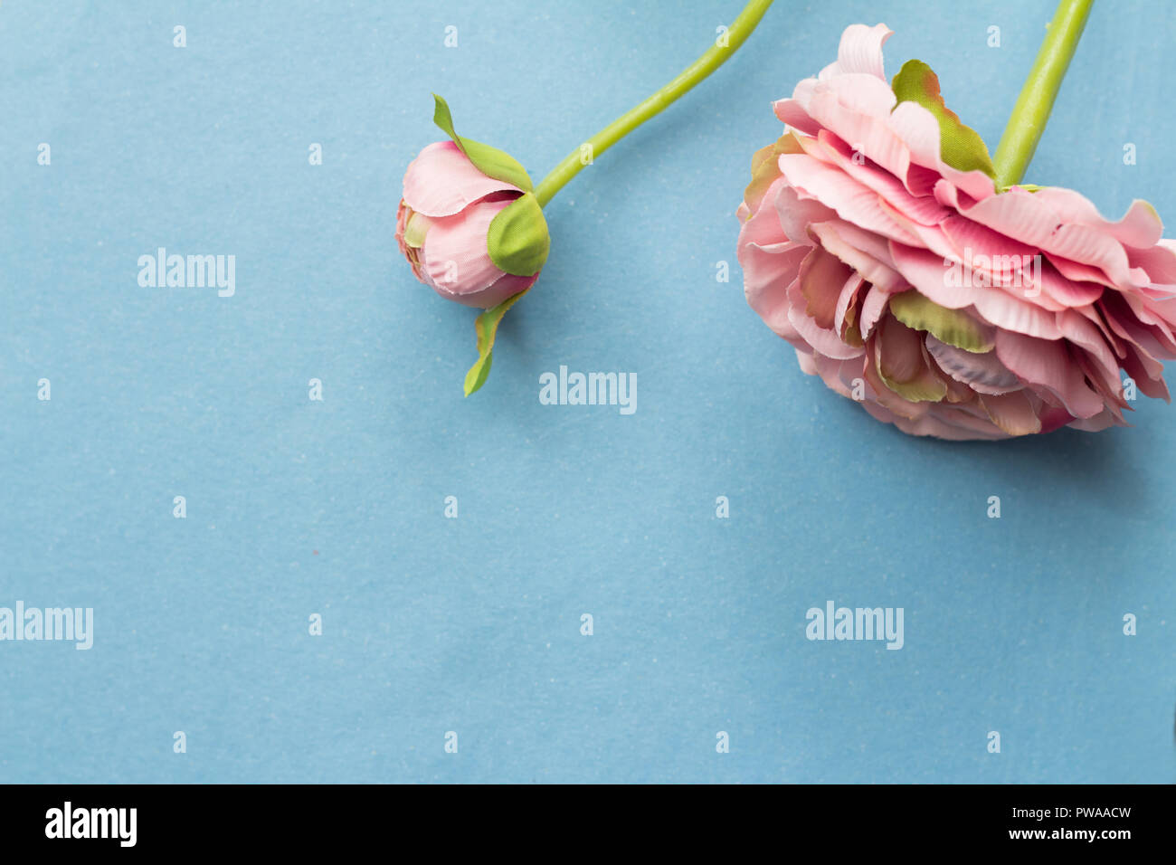 artificial flowers closeup Stock Photo