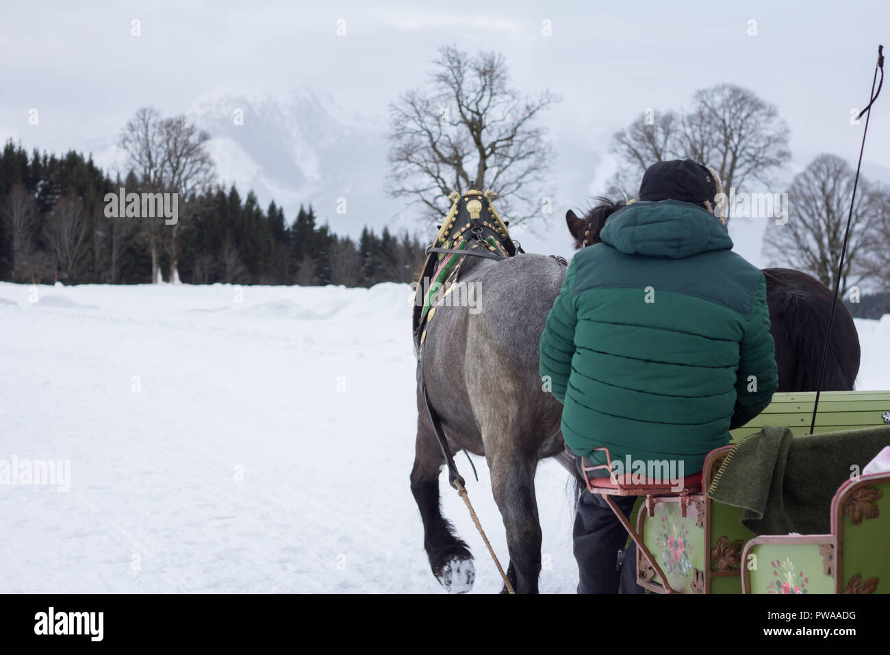 horses pulling sledge in winter Stock Photo