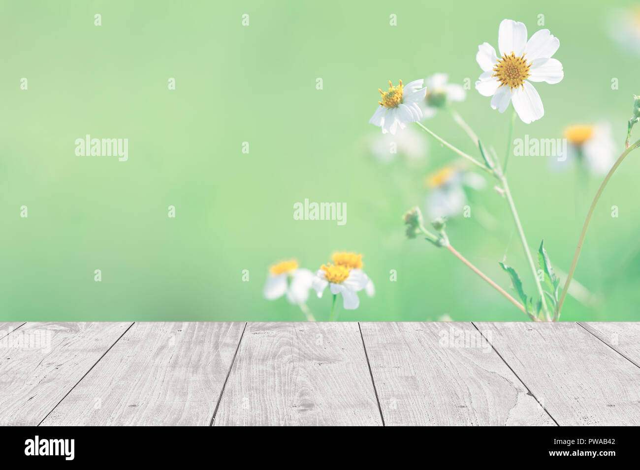 white wooden table foreground with green nature flower background for  products montage template Stock Photo - Alamy