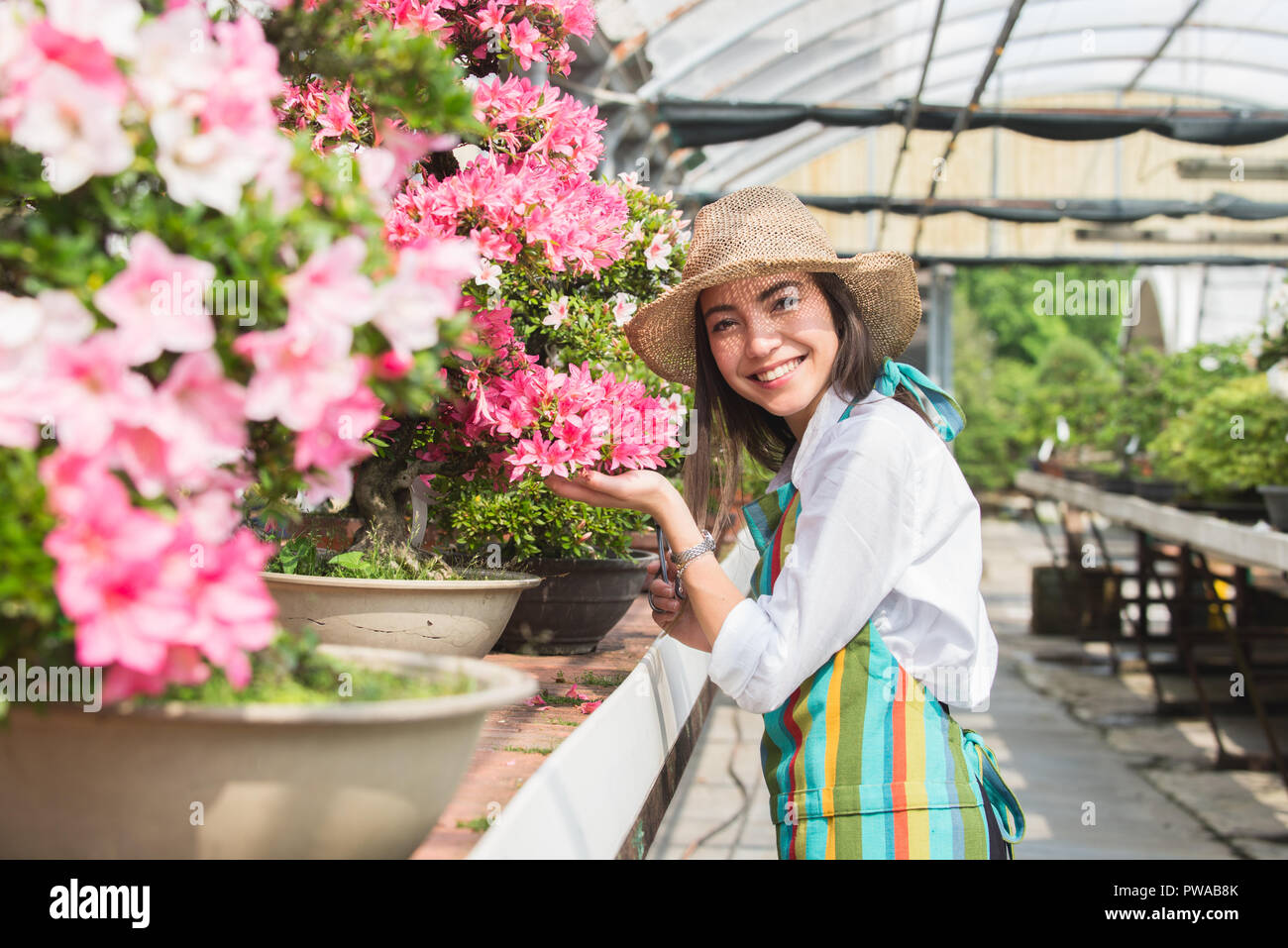 Pretty female gardener taking care of plants in her flowers and plants ...