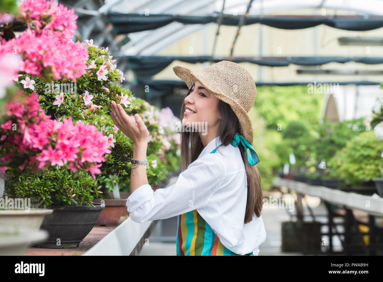 Pretty female gardener taking care of plants in her flowers and plants ...