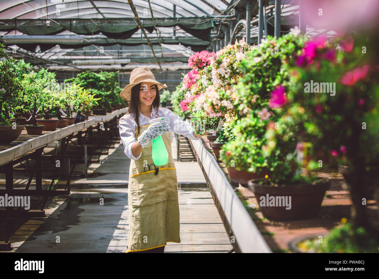 Pretty female gardener taking care of plants in her flowers and plants ...