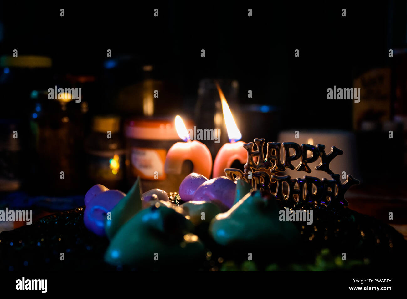 Surprise Birthday Party Celebration Decoration Celebrate Your