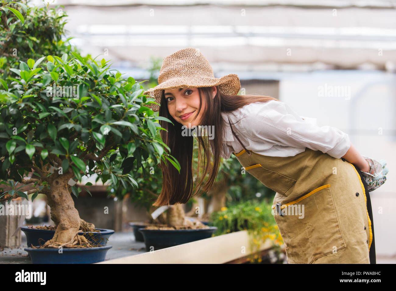 Pretty female gardener taking care of plants in her flowers and plants ...