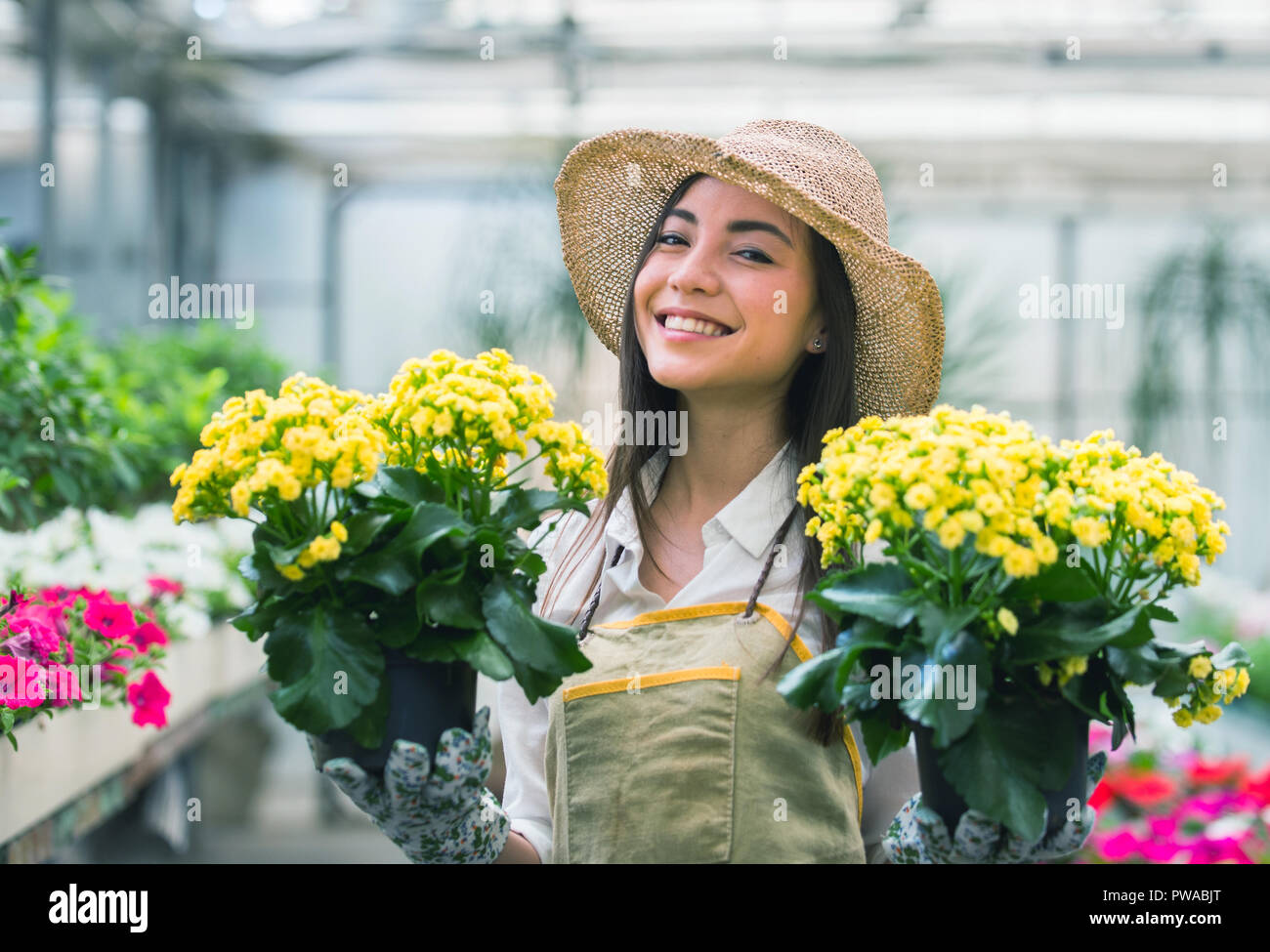 Pretty female gardener taking care of plants in her flowers and plants ...