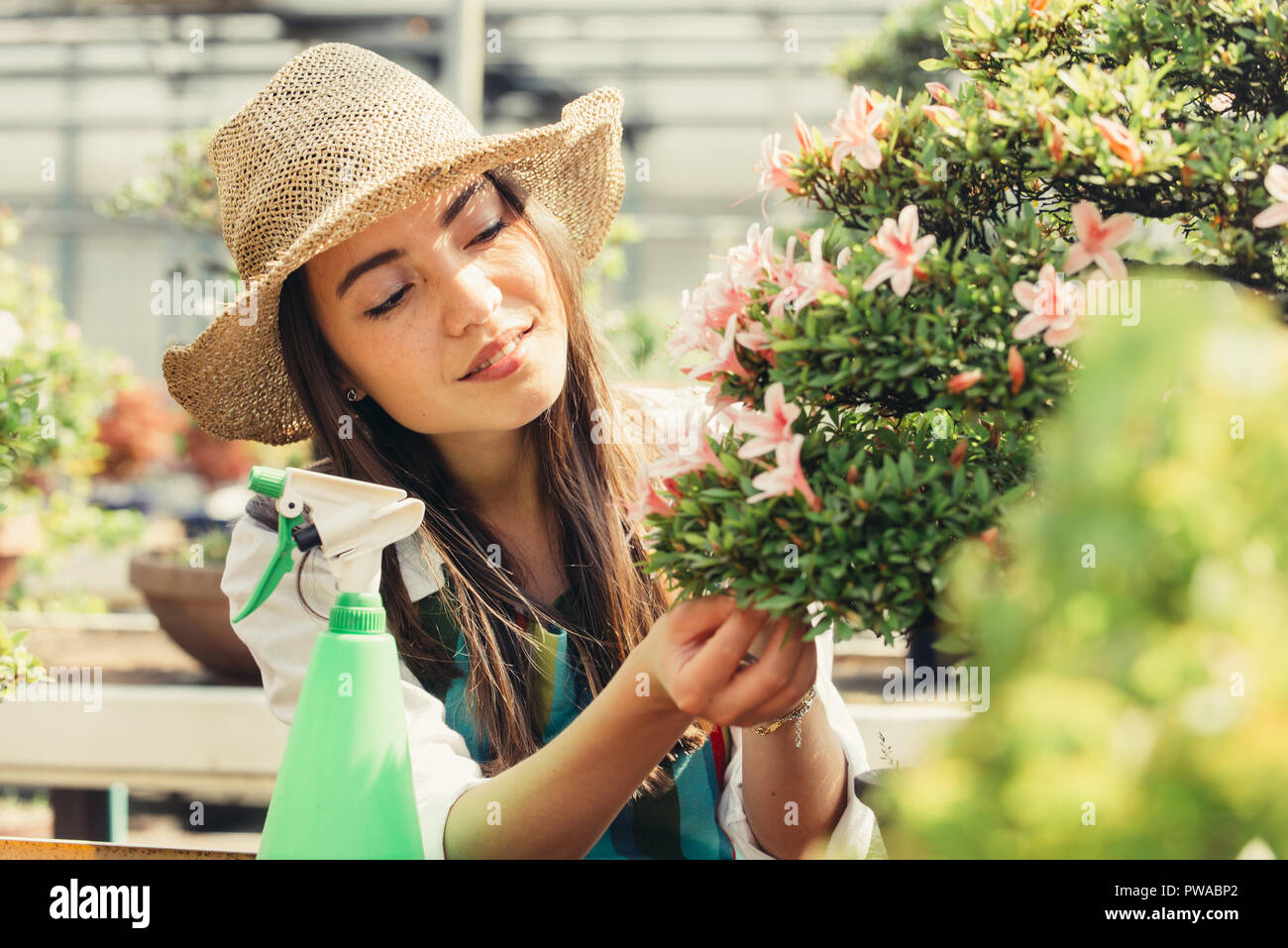 Pretty female gardener taking care of plants in her flowers and plants ...