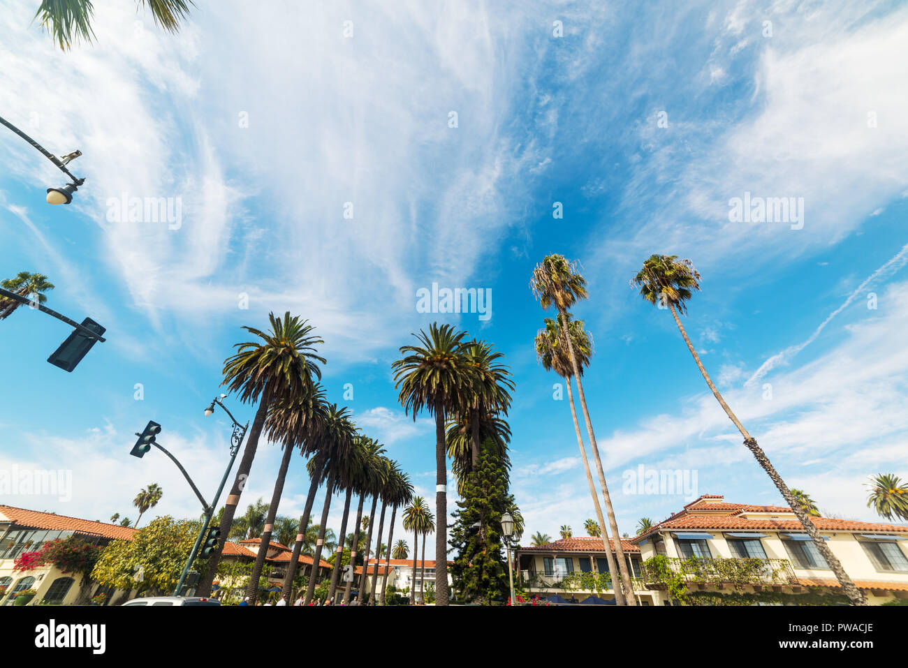 Palm trees in Santa Barbara, California Stock Photo Alamy