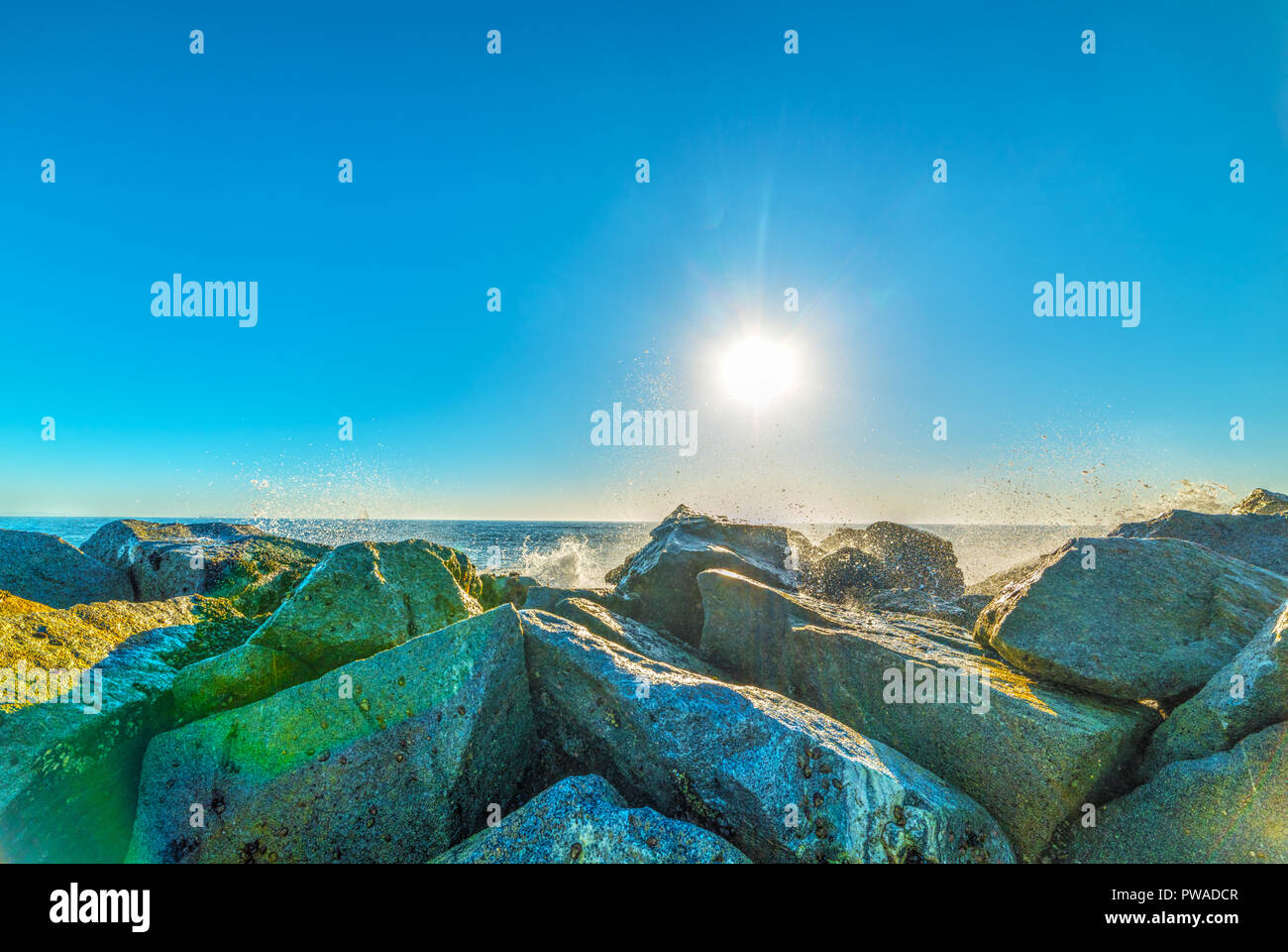 Rocks in Venice beach shore, Los Angeles. California, USA Stock Photo ...