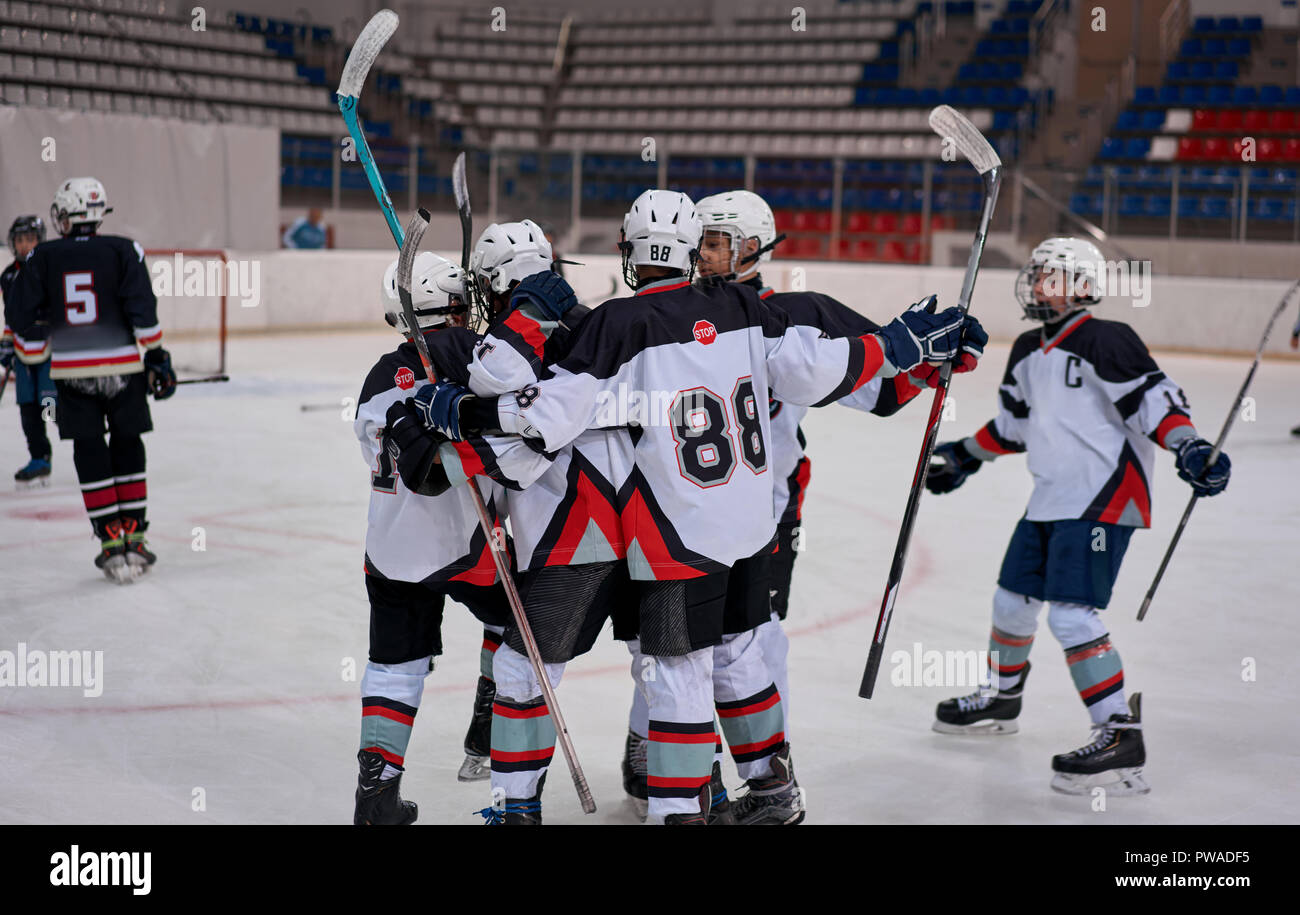 icehockey players on the ice Stock Photo Alamy