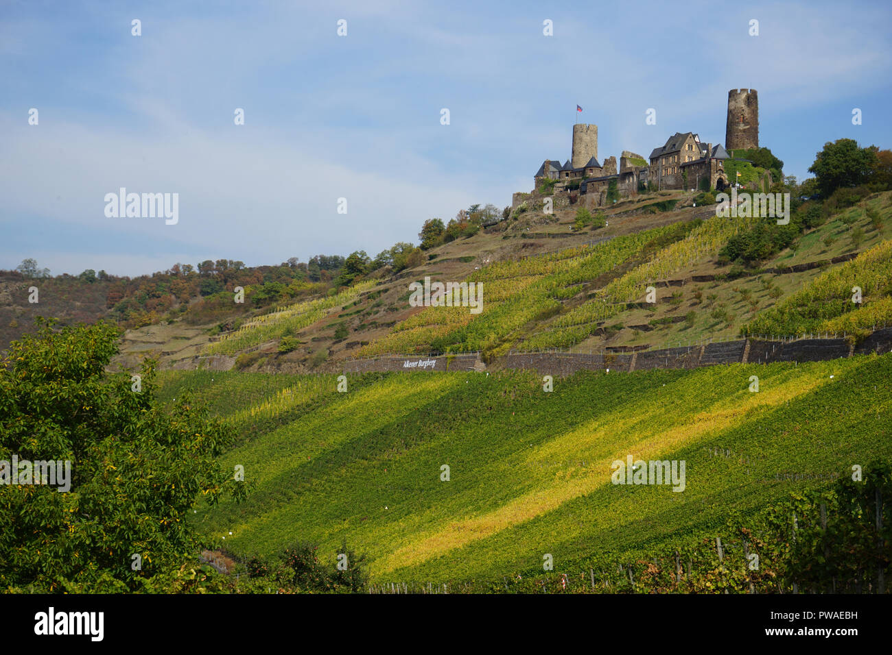 Burg Thurant, auf einem Bergsporn oberhalb von Alken an der Mosel,  Moseltal, Rheinland Pfalz, Deutschland Stock Photo