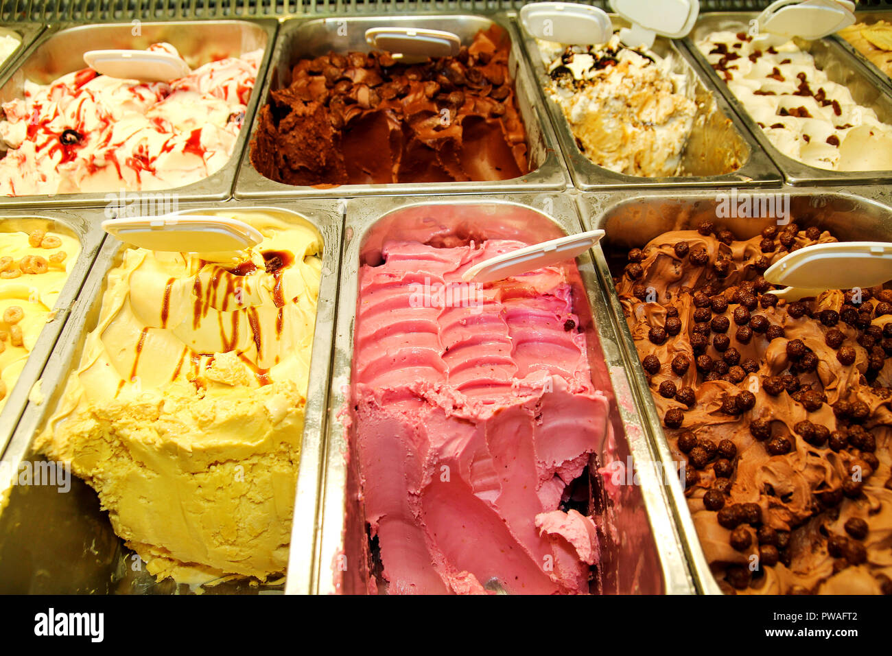 Showcase with colorful fruit ice cream. Ice cream serving counter with
