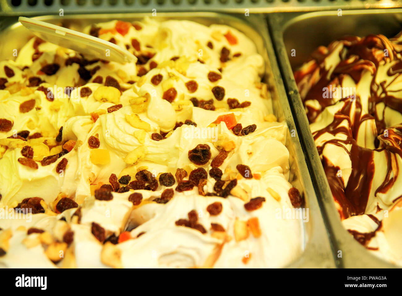 Showcase with colorful fruit ice cream. Ice cream serving counter with