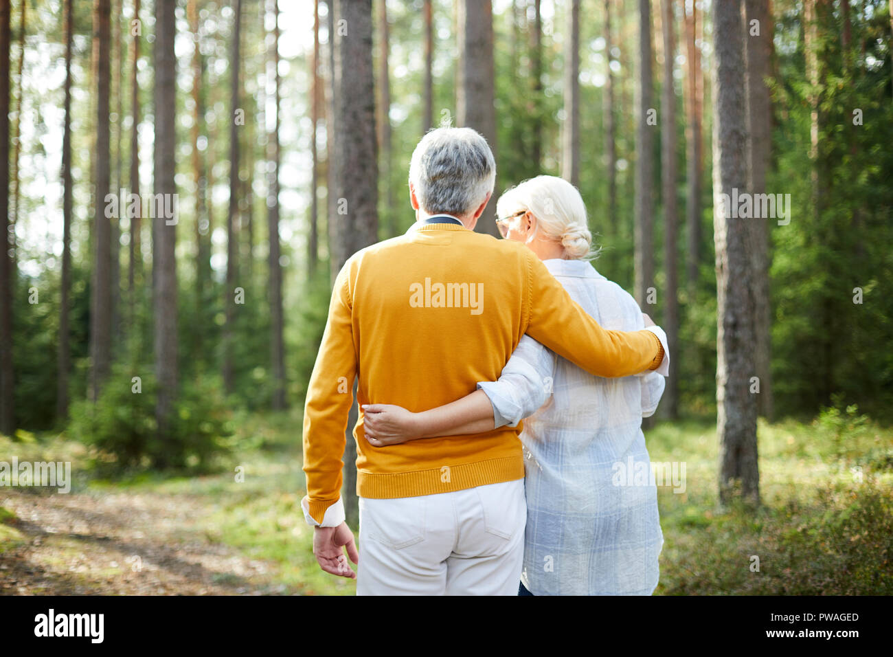 Rear view of senior casual restful couple taking walk in embrace in the forest Stock Photo