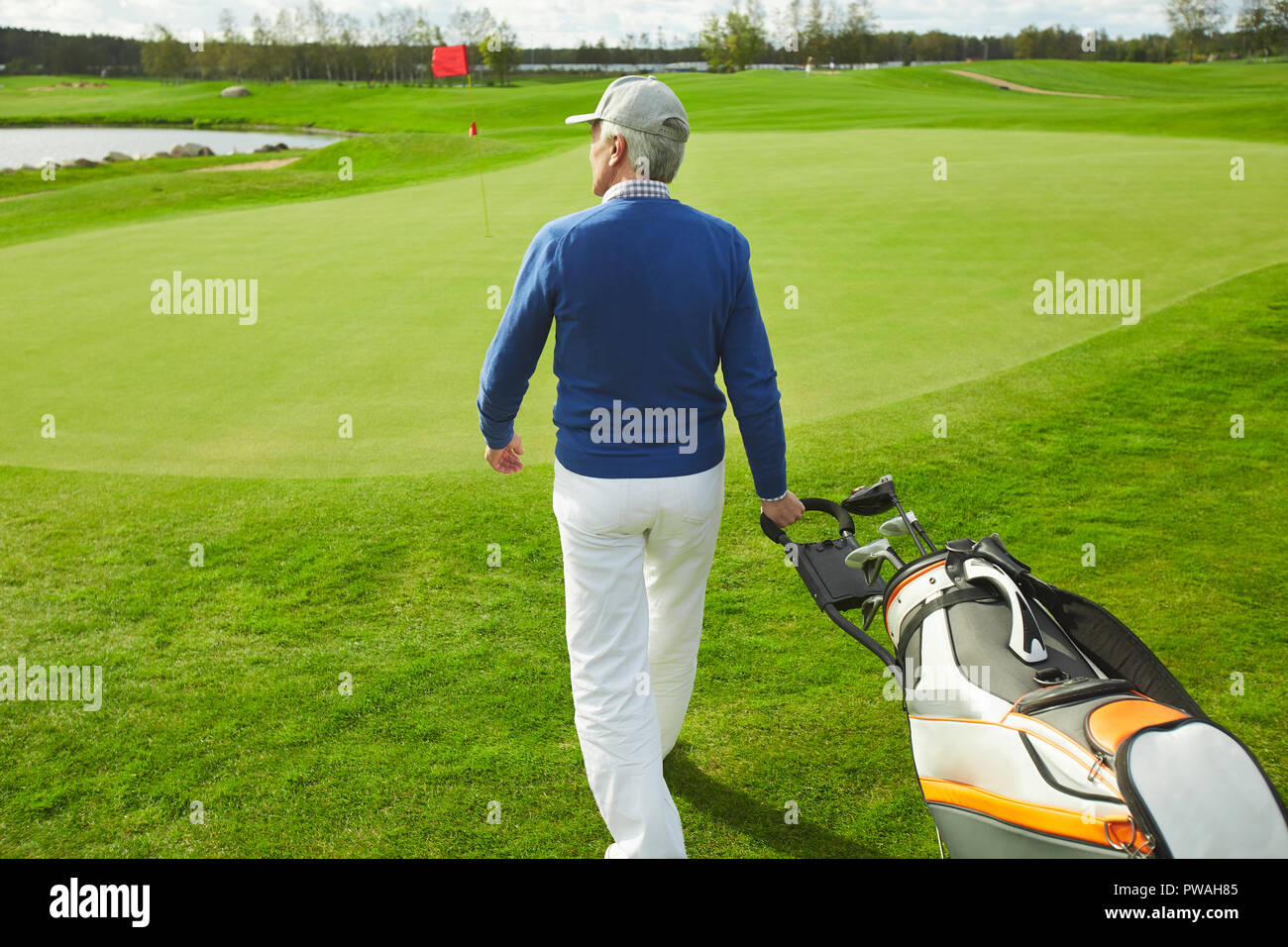 Back view of senior man walking down green field and carrying bag with  bunch of golf clubs Stock Photo - Alamy