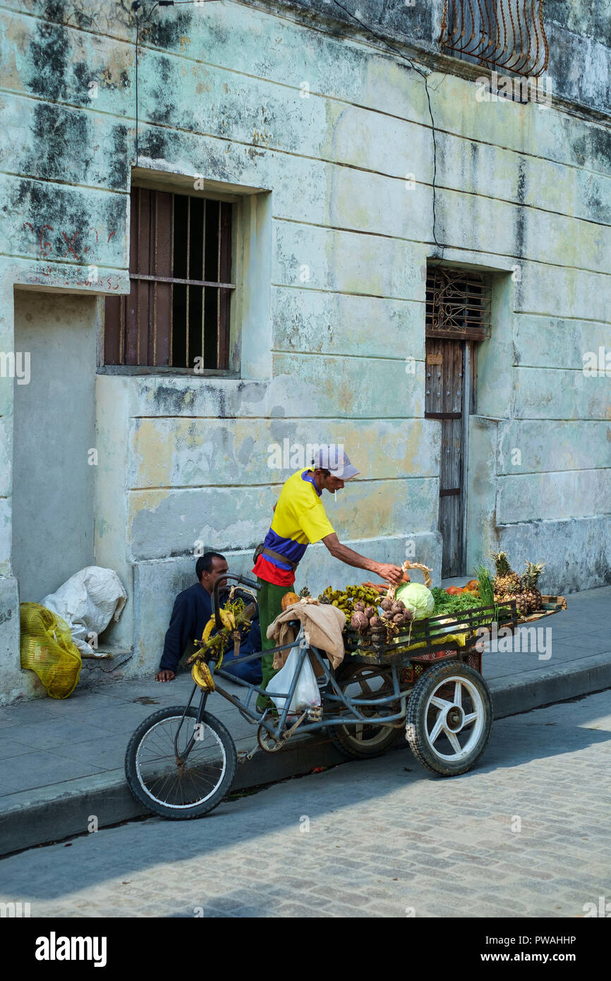 STREET VENDOR BICYCLE CART