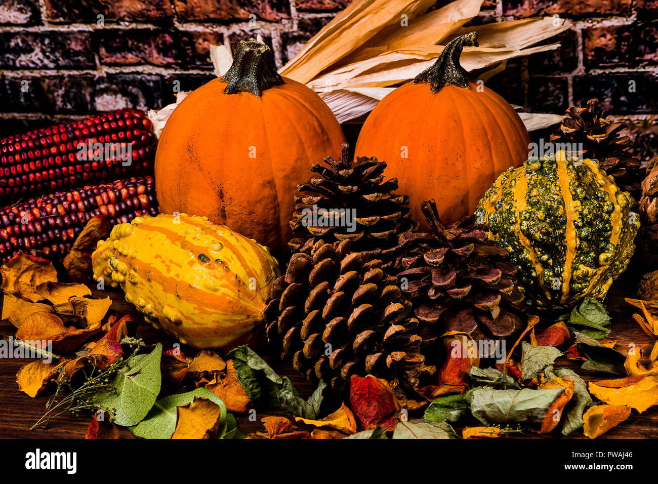 Beautiful Earthy Colors In A Fall Still Life With Pumpkins, Pine Cones