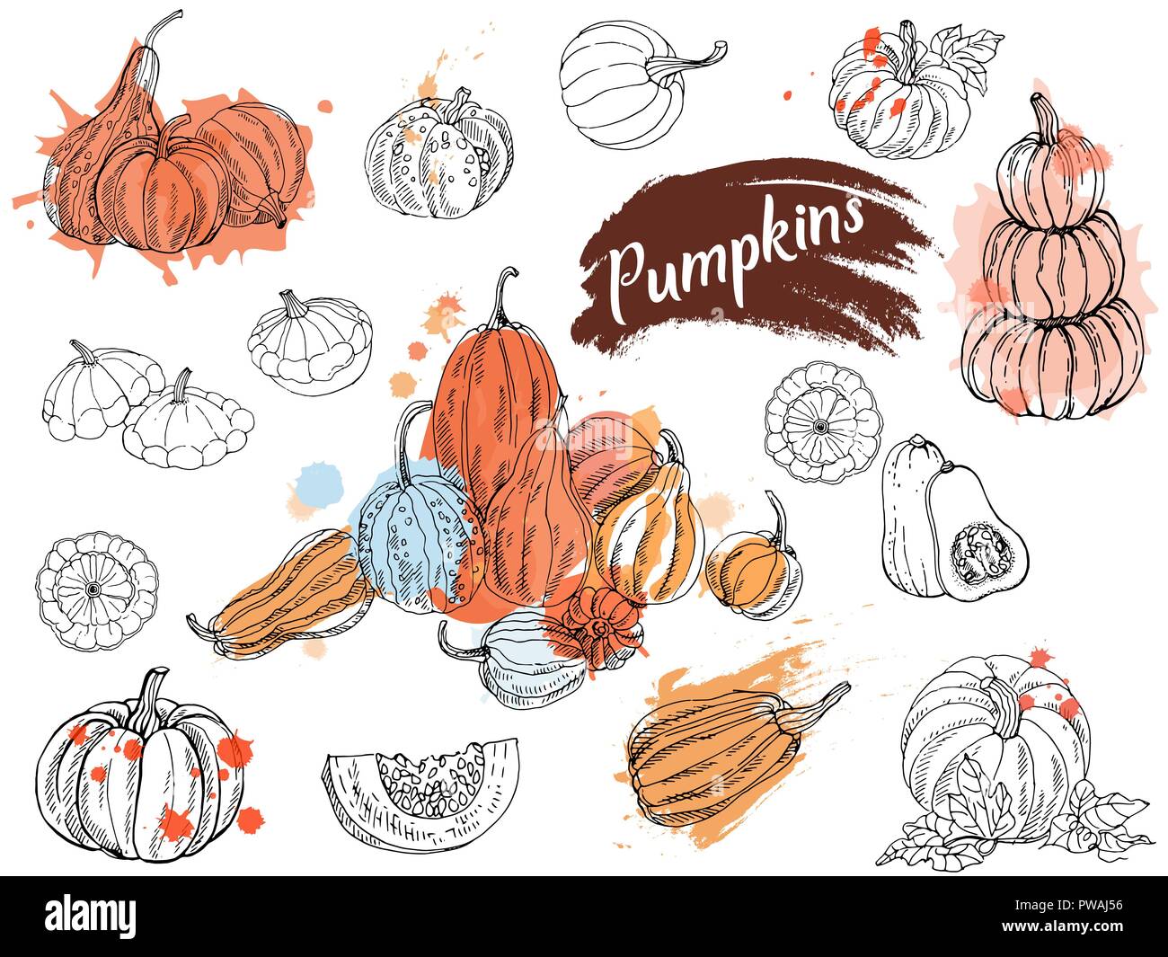 Set of hand drawn sketch style pumpkins isolated on white background ...