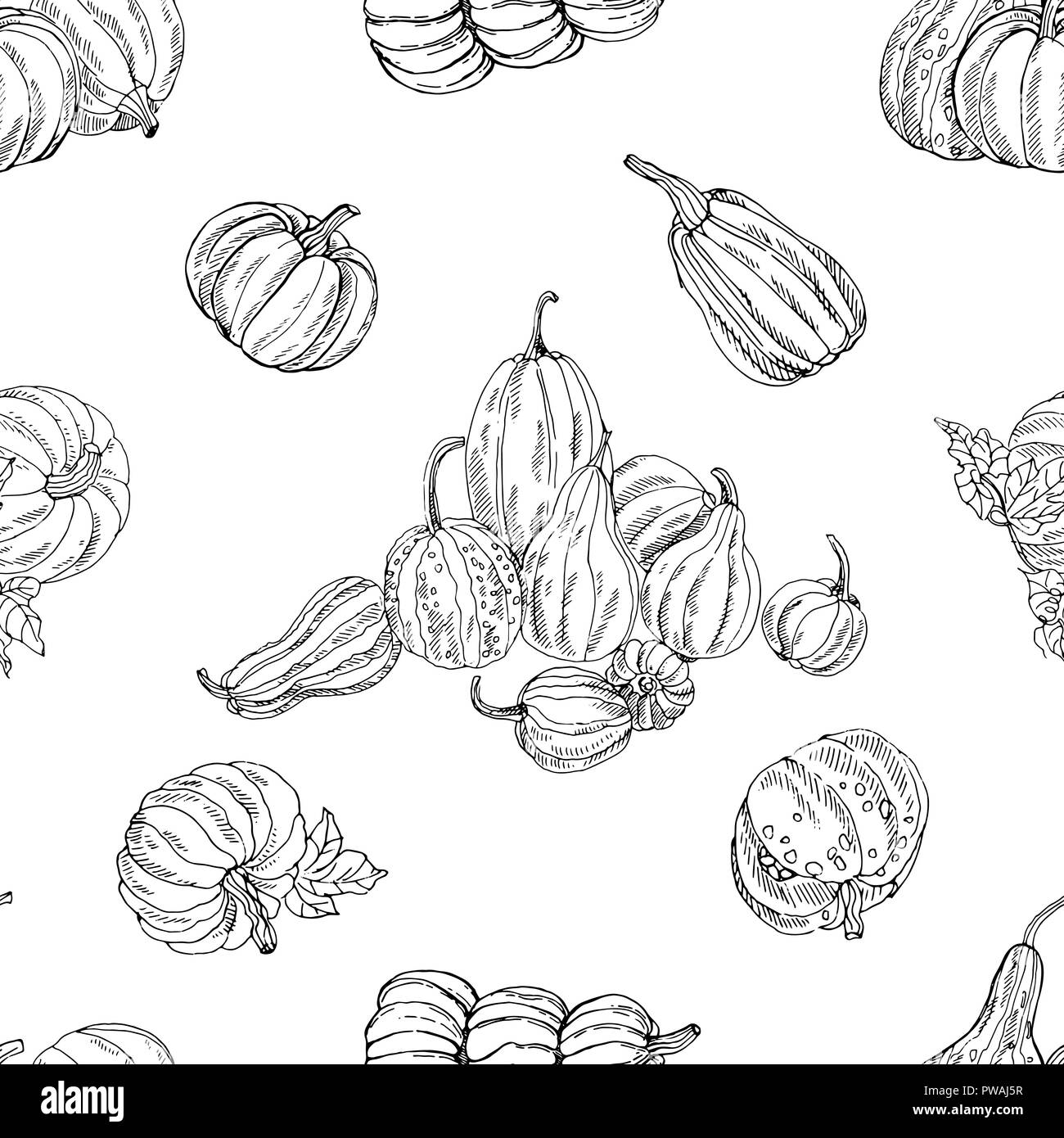 Seamless pattern of hand drawn sketch style pumpkins isolated on white ...