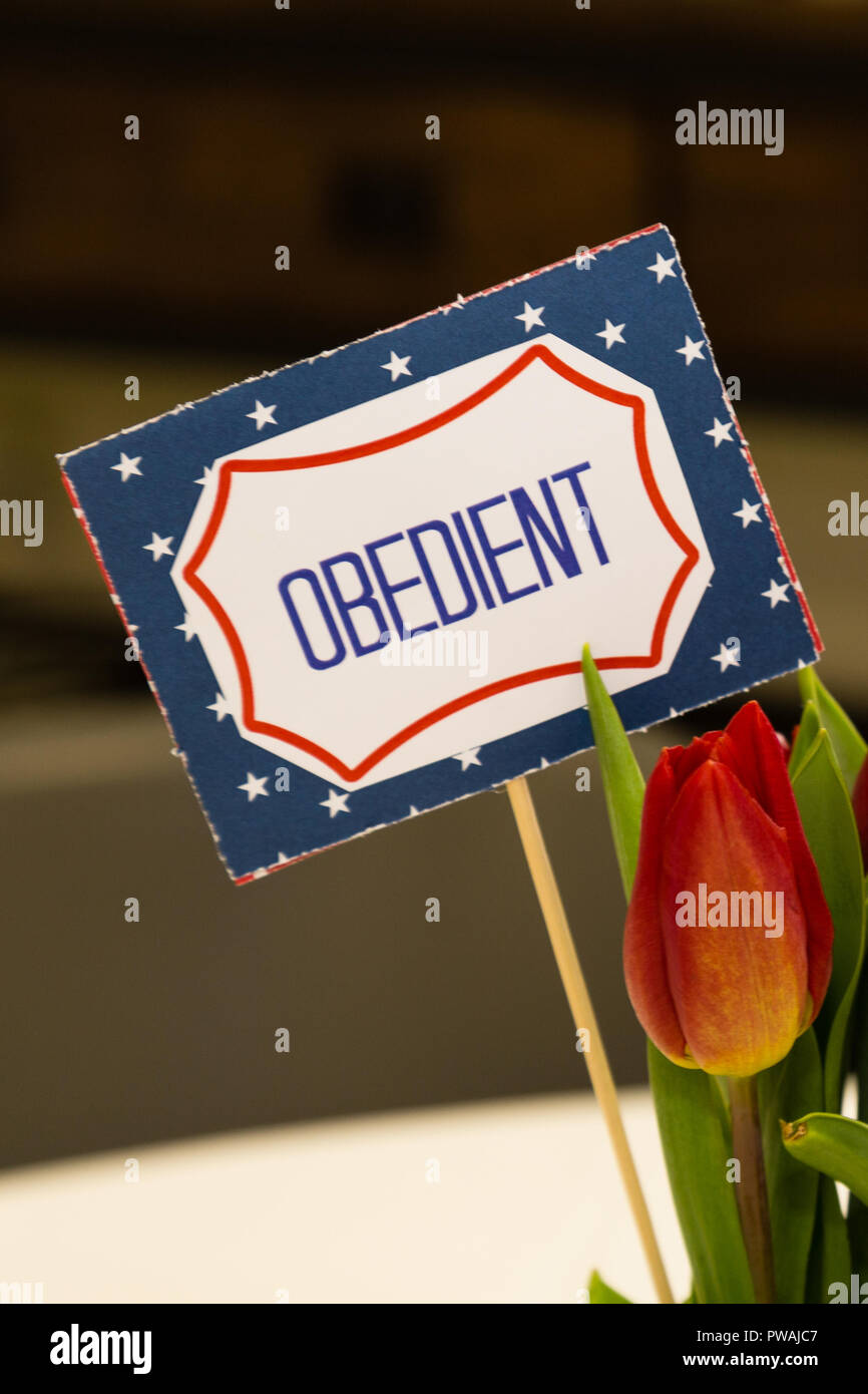 A Scout is obedient sign with flowers Stock Photo