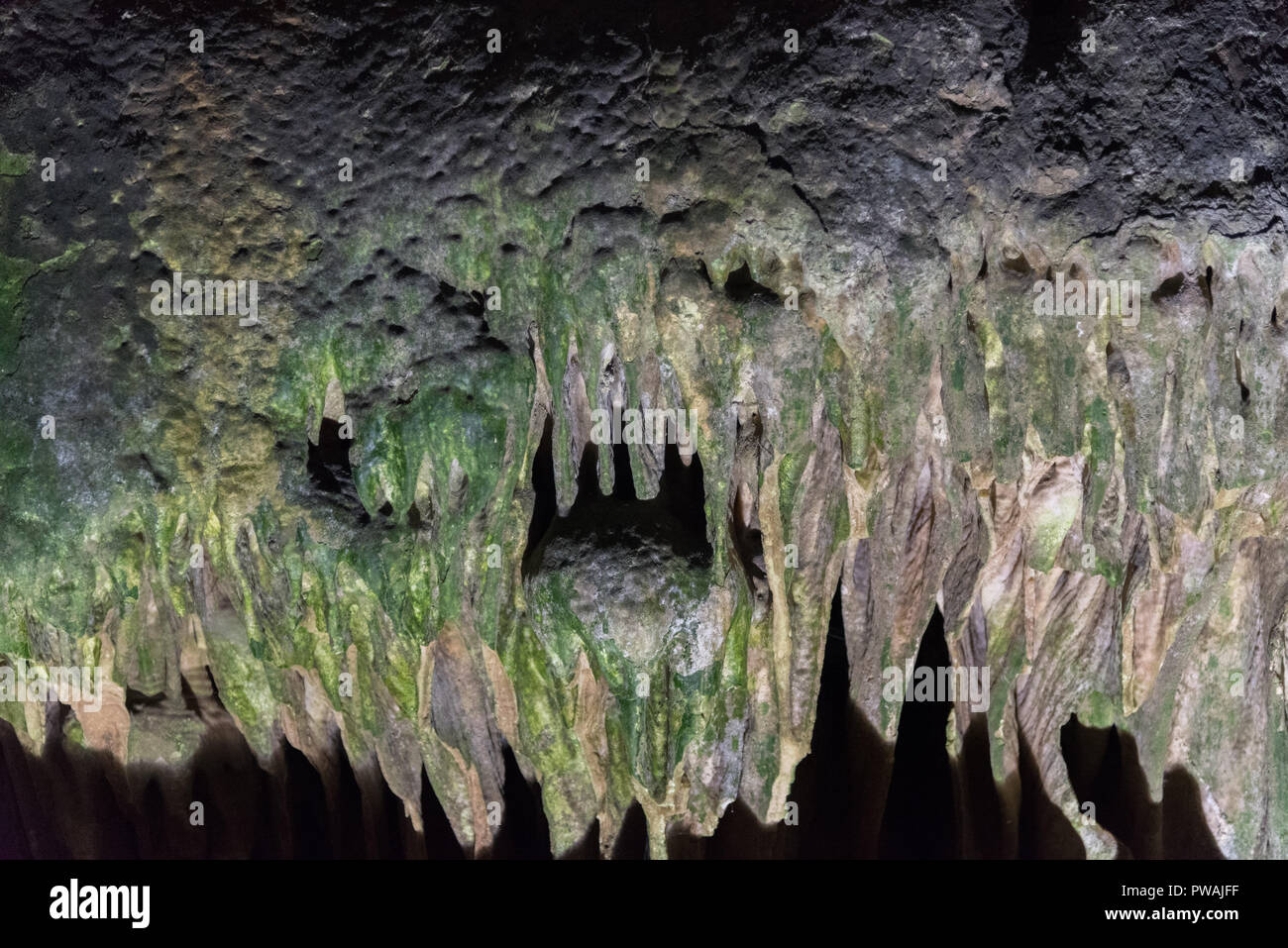 Stone Monster, gibraltar Stock Photo Alamy