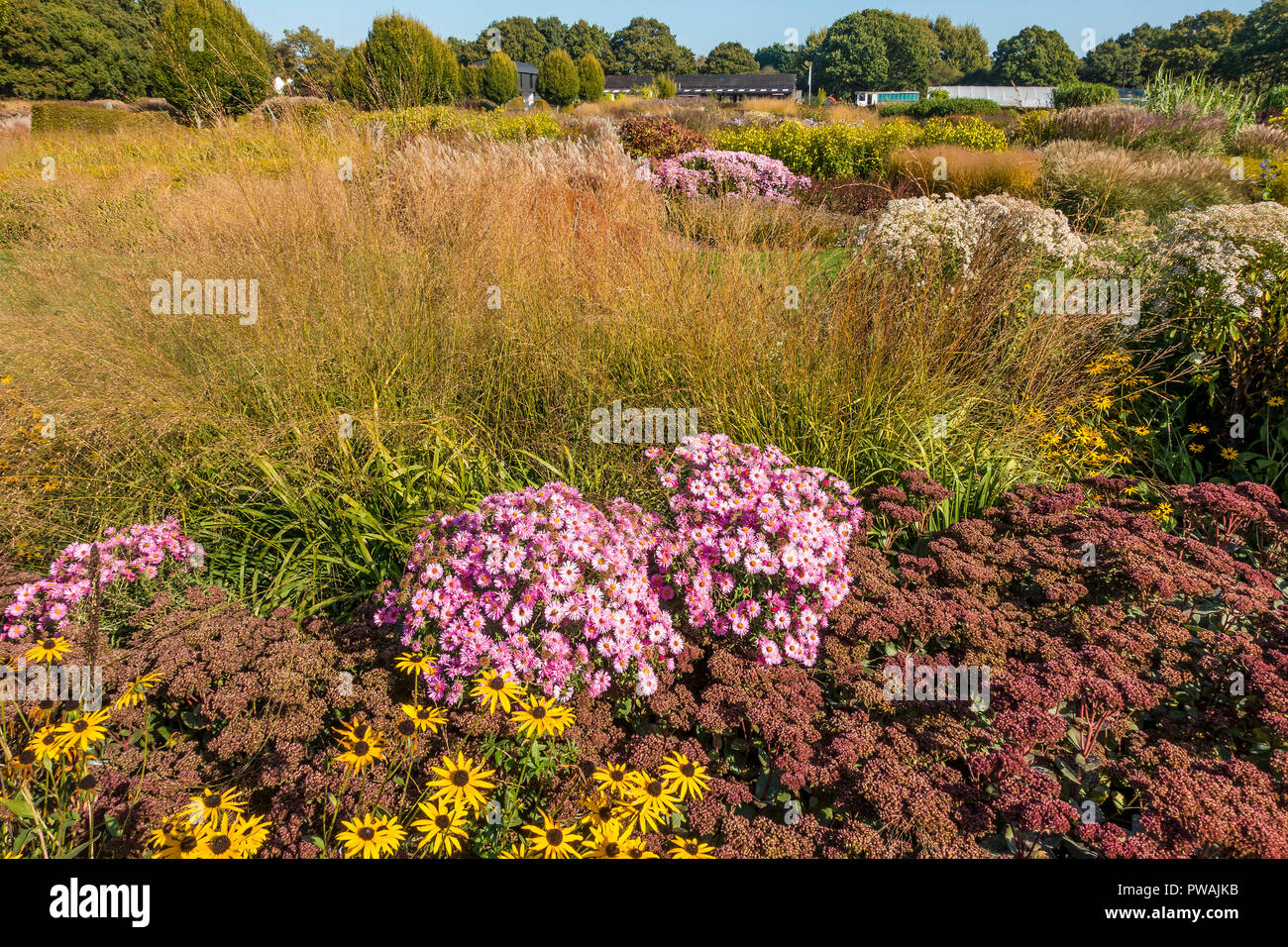 Sussex Prairie Garden,Henfield,Sussex,England Stock Photo