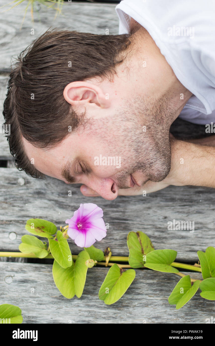 30-40s Caucasian man sleeping on a dock next to a flower Stock Photo